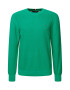 TOMMY HILFIGER Pulover verde - Pled.ro