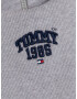 TOMMY HILFIGER Top albastru / gri amestecat / roșu - Pled.ro