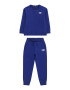 TOMMY HILFIGER Trening bleumarin / albastru regal / roși aprins / alb - Pled.ro