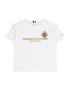 TOMMY HILFIGER Tricou auriu / alb - Pled.ro