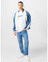 TOMMY HILFIGER Tricou bleumarin / alb - Pled.ro