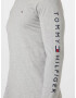 TOMMY HILFIGER Tricou bleumarin / gri deschis / roșu / alb - Pled.ro