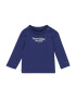 TOMMY HILFIGER Tricou bleumarin / roșu / alb - Pled.ro