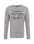 TOMMY HILFIGER Tricou gri amestecat / roșu / negru / alb - Pled.ro