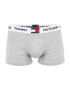 Tommy Hilfiger Underwear Boxeri albastru / gri deschis / roșu / alb - Pled.ro