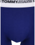 Tommy Hilfiger Underwear Boxeri bleumarin / gri deschis / negru / alb - Pled.ro