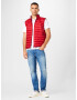 TOMMY HILFIGER Vestă albastru / roșu / alb - Pled.ro