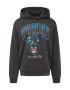 Tommy Jeans Bluză de molton 'PANTHER' albastru / gri metalic / roz pitaya / alb - Pled.ro