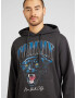 Tommy Jeans Bluză de molton 'PANTHER' albastru / gri metalic / roz pitaya / alb - Pled.ro