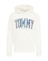 Tommy Jeans Bluză de molton 'Tartan' albastru / roz / negru / alb - Pled.ro