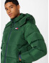 Tommy Jeans Geacă de iarnă 'ALASKA' bleumarin / verde smarald / roșu / alb - Pled.ro