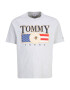 Tommy Jeans Plus Tricou albastru / gri amestecat / roșu intens / alb - Pled.ro