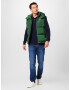 Tommy Jeans Vestă 'Alaska' verde - Pled.ro