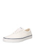 TOMS Sneaker low 'ALPARGATA FENIX LACE UP' ecru - Pled.ro