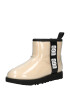 UGG Botine bej deschis / negru / alb - Pled.ro