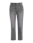 Ulla Popken Jeans gri denim - Pled.ro