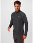 UNDER ARMOUR Hanorac sport 'Streaker' gri metalic - Pled.ro