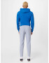 UNDER ARMOUR Pantaloni sport gri - Pled.ro