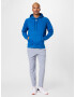 UNDER ARMOUR Pantaloni sport gri - Pled.ro