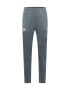 UNDER ARMOUR Pantaloni sport gri bazalt / alb - Pled.ro