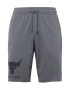 UNDER ARMOUR Pantaloni sport gri închis / negru - Pled.ro