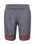 UNDER ARMOUR Pantaloni sport gri / roșu - Pled.ro