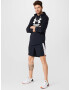 UNDER ARMOUR Pantaloni sport 'Launch' albastru deschis / negru / alb - Pled.ro