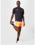 UNDER ARMOUR Pantaloni sport 'Peak' portocaliu deschis / negru - Pled.ro