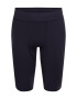 UNDER ARMOUR Pantaloni sport 'Project Rock' negru - Pled.ro