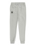 UNDER ARMOUR Pantaloni sport 'RIVAL' gri deschis / negru - Pled.ro