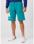 UNDER ARMOUR Pantaloni sport 'Rival' turcoaz / alb - Pled.ro