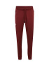 UNDER ARMOUR Pantaloni sport roșu bordeaux - Pled.ro