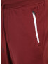 UNDER ARMOUR Pantaloni sport roșu bordeaux - Pled.ro