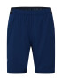 UNDER ARMOUR Pantaloni sport 'Vanish' albastru închis / negru / alb - Pled.ro