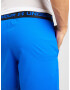 UNDER ARMOUR Pantaloni sport 'Vanish' albastru regal / negru / alb - Pled.ro