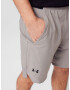 UNDER ARMOUR Pantaloni sport 'Vanish' bej închis / negru - Pled.ro