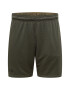 UNDER ARMOUR Pantaloni sport verde - Pled.ro