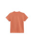 VANS Tricou 'Flying' rosé / alb - Pled.ro