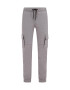 WE Fashion Pantaloni gri deschis - Pled.ro