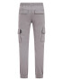 WE Fashion Pantaloni gri deschis - Pled.ro