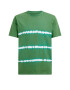 WE Fashion Tricou cyan / verde iarbă / alb - Pled.ro