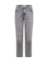 Won Hundred Jeans 'Dean Saint' gri denim - Pled.ro