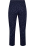 Zizzi Pantaloni de pijama 'MDANA' albastru / alb - Pled.ro