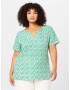 Zizzi Tricou 'CLEO' verde / alb murdar - Pled.ro