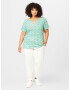 Zizzi Tricou 'CLEO' verde / alb murdar - Pled.ro