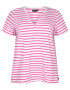 Zizzi Tricou 'EDORIT' roz / alb - Pled.ro