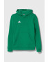 adidas Performance bluza copii ENT22 HOODY Y culoarea verde cu glugă cu imprimeu - Pled.ro