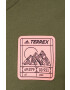 adidas TERREX tricou Patch Mountain HE1756 - Pled.ro