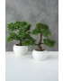 Boltze copac artificial într-un ghiveci Conifer Bonsai - Pled.ro