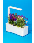 Click & Grow Gradina de casa autonoma Smart Garden 3 - Pled.ro